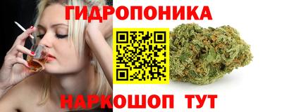 дживик Пенза