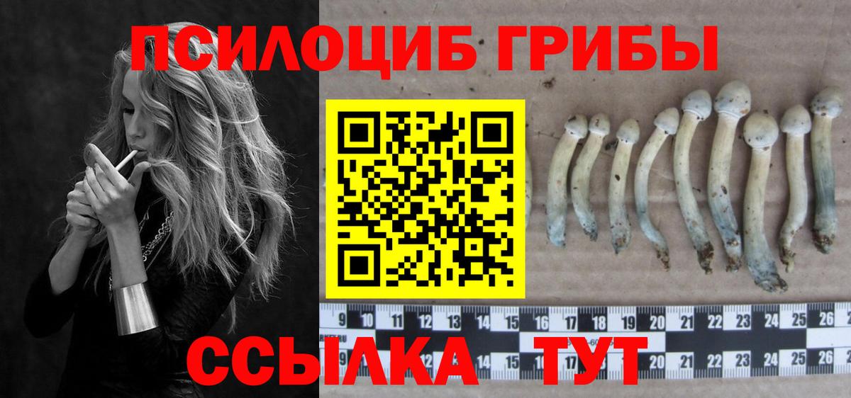 Псилоцибиновые грибы мухоморы Октябрьский